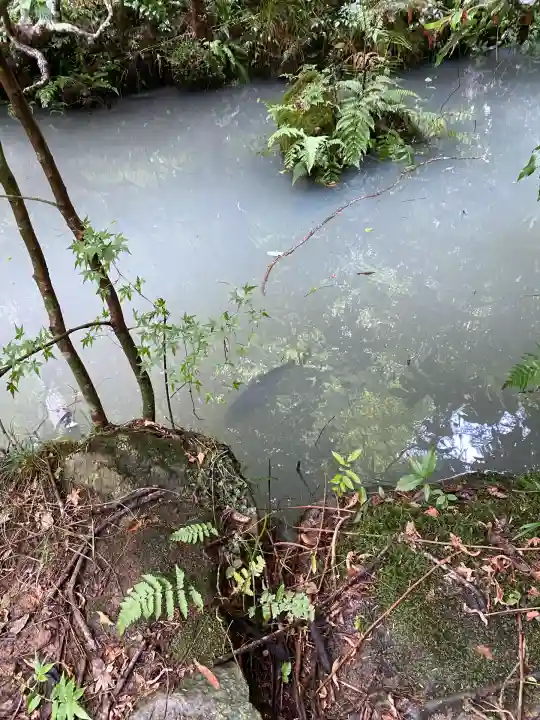 光明寺(兵庫県)