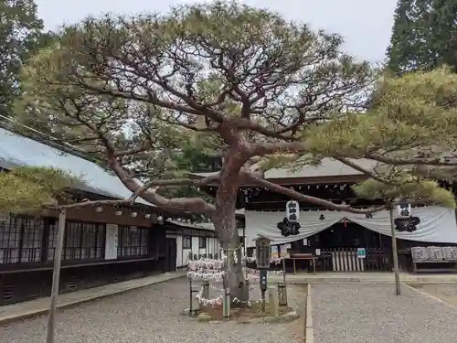 尾張冨士大宮浅間神社の自然