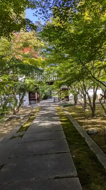 興聖寺(京都府)