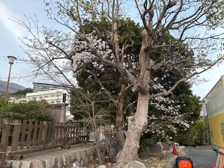 兵庫縣神戸護國神社(兵庫県)