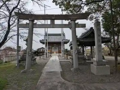 白髭神社の{uncategorized: "未分類", other: "その他", undefined: "問題あり", building: "その他建物", grave: "お墓", sacred_gate: "鳥居", guardian: "狛犬", statue: "像", buddha: "仏像", history: "歴史", nature: "自然", garden: "庭園", animal: "動物", pagoda: "塔", temizu: "手水舎", mountain_gate: "山門・神門", sanctuary: "本殿・本堂", subordinate: "末社・摂社", art: "芸術", scenery: "景色", jizo: "地蔵", ema: "絵馬", goshuin: "御朱印", omikuji: "おみくじ", items: "授与品その他", amulet: "お守り", goshuincho: "御朱印帳", eats: "食事", festival: "お祭り", votive_dance: "神楽", shichigosan: "七五三参", wedding: "結婚式", experience: "体験その他", initially: "初詣", around: "周辺", anti_infection: "感染症対策"}