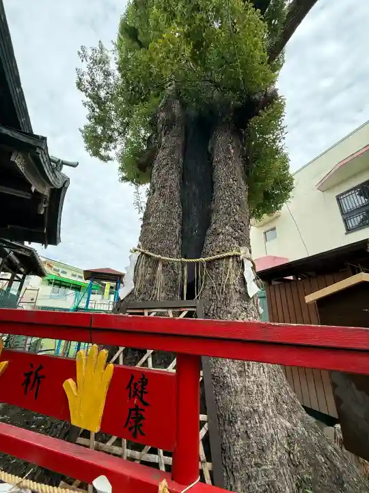 五方山熊野神社(東京都)