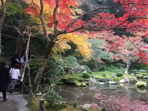 南禅寺の庭園