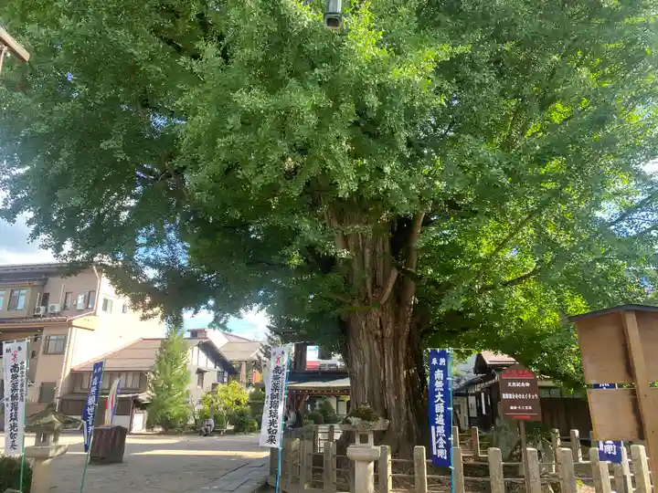 飛騨国分寺(岐阜県)