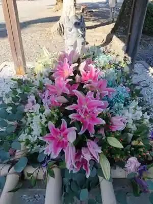 大歳神社の手水舎