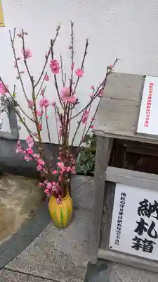 市比賣神社(京都府)