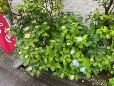 太平寺(大阪府)