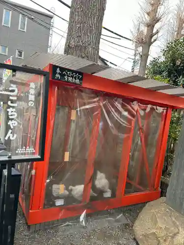 田無神社(東京都)