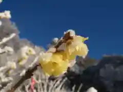 清水寺の自然