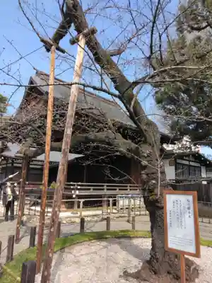 靖國神社(東京都)
