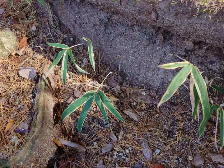 六甲比命大善神社の自然