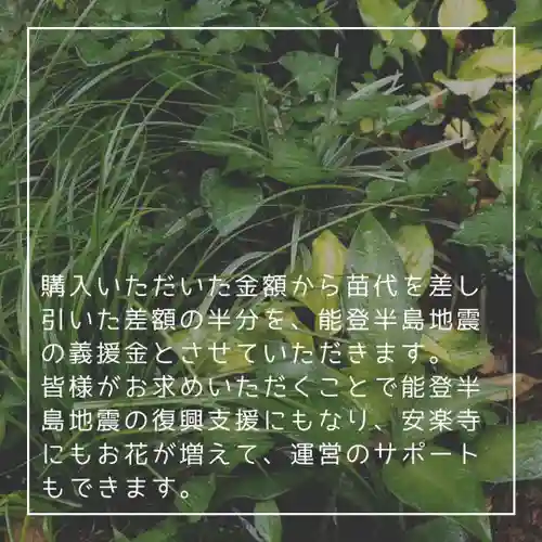 天王山 安楽寺(福井県)