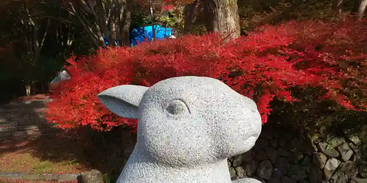 出雲大神宮の狛犬