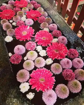 白山神社の手水舎