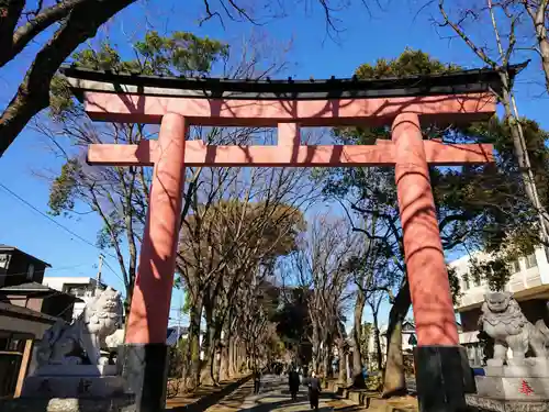 武蔵一宮氷川神社の鳥居