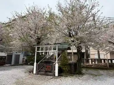 神明宮の{uncategorized: "未分類", other: "その他", undefined: "問題あり", building: "その他建物", grave: "お墓", sacred_gate: "鳥居", guardian: "狛犬", statue: "像", buddha: "仏像", history: "歴史", nature: "自然", garden: "庭園", animal: "動物", pagoda: "塔", temizu: "手水舎", mountain_gate: "山門・神門", sanctuary: "本殿・本堂", subordinate: "末社・摂社", art: "芸術", scenery: "景色", jizo: "地蔵", ema: "絵馬", goshuin: "御朱印", omikuji: "おみくじ", items: "授与品その他", amulet: "お守り", goshuincho: "御朱印帳", eats: "食事", festival: "お祭り", votive_dance: "神楽", shichigosan: "七五三参", wedding: "結婚式", experience: "体験その他", initially: "初詣", around: "周辺", anti_infection: "感染症対策"}