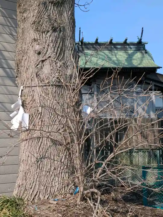 亀田龍神社の{uncategorized: "未分類", other: "その他", undefined: "問題あり", building: "その他建物", grave: "お墓", sacred_gate: "鳥居", guardian: "狛犬", statue: "像", buddha: "仏像", history: "歴史", nature: "自然", garden: "庭園", animal: "動物", pagoda: "塔", temizu: "手水舎", mountain_gate: "山門・神門", sanctuary: "本殿・本堂", subordinate: "末社・摂社", art: "芸術", scenery: "景色", jizo: "地蔵", ema: "絵馬", goshuin: "御朱印", omikuji: "おみくじ", items: "授与品その他", amulet: "お守り", goshuincho: "御朱印帳", eats: "食事", festival: "お祭り", votive_dance: "神楽", shichigosan: "七五三参", wedding: "結婚式", experience: "体験その他", initially: "初詣", around: "周辺", anti_infection: "感染症対策"}