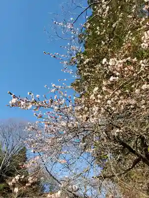鹿島大神宮(福島県)
