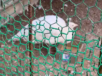 進雄神社(群馬県)