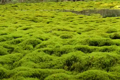 大山祇神社(高知県)
