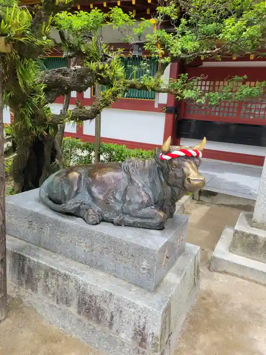 太宰府天満宮(福岡県)
