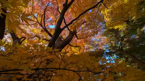 東福禅寺（東福寺）(京都府)