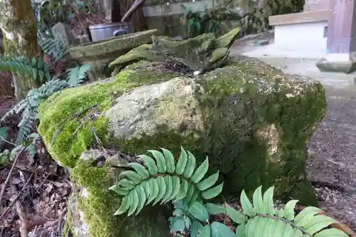 湯泉神社の自然