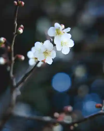 不動院（東光寺）(茨城県)
