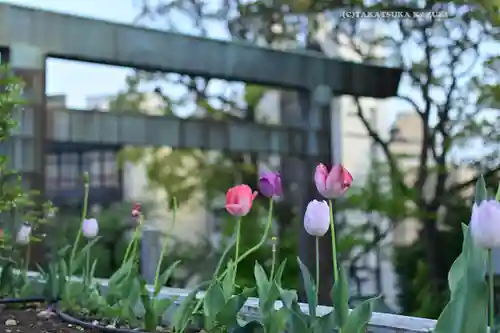 伊勢山皇大神宮(神奈川県)