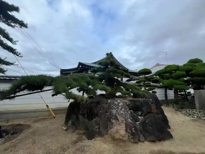 大聖観音寺(あびこ観音)(大阪府)