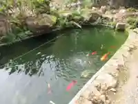 龍珠院(東京都)