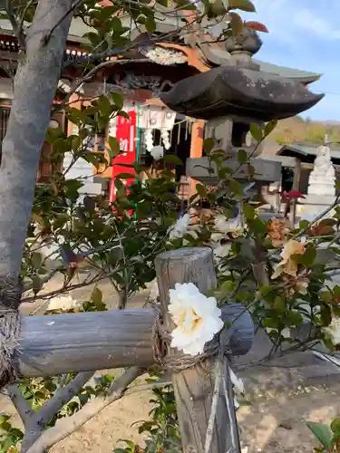 春日神社の建物その他