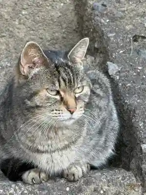 唐澤山神社(栃木県)