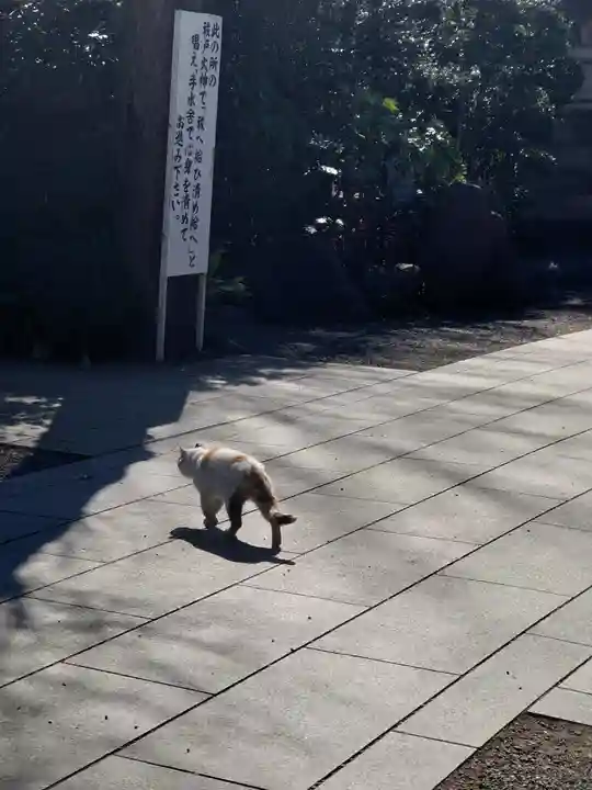 亀ケ池八幡宮(神奈川県)