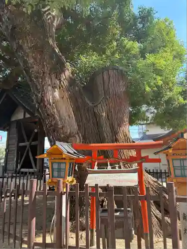 阿遅速雄神社(大阪府)