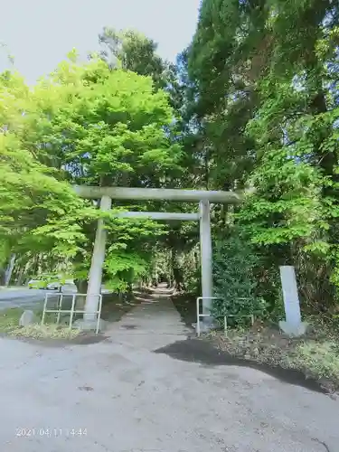 縣神社の鳥居