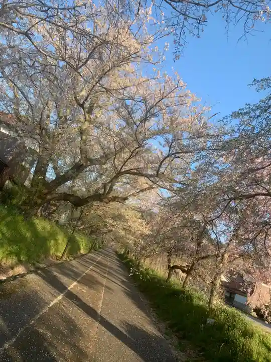 徳佐八幡宮の自然