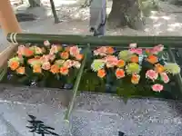 現人神社の手水舎