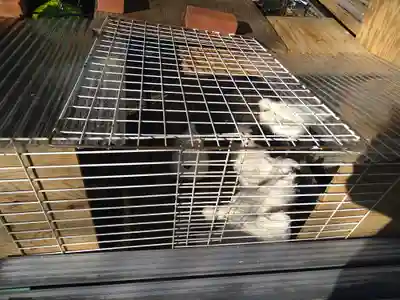 榮久山大法寺(東京都)