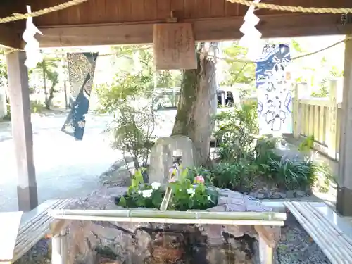 阿智神社の手水