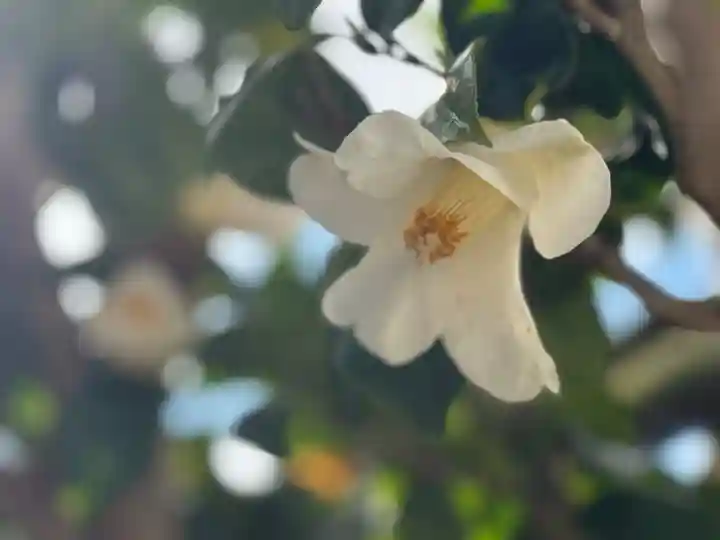 西方山極楽寺(岐阜県)
