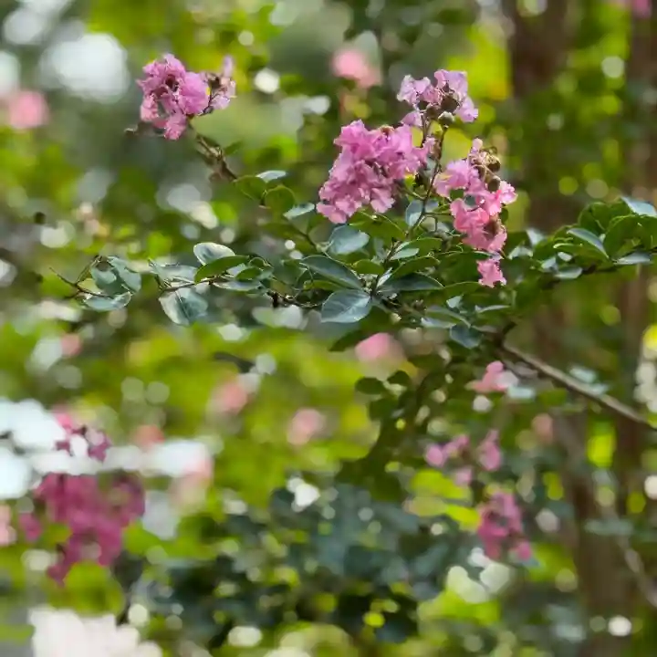 伊勢の国 四天王寺(三重県)