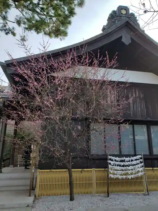 猿田彦神社(東京都)
