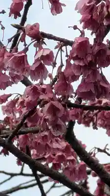 金佛殿 延壽寺（延寿寺）(京都府)