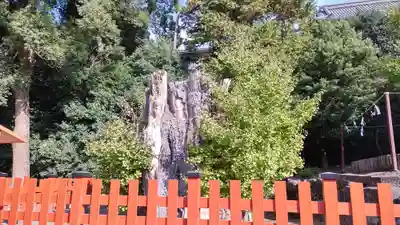 鶴岡八幡宮(神奈川県)
