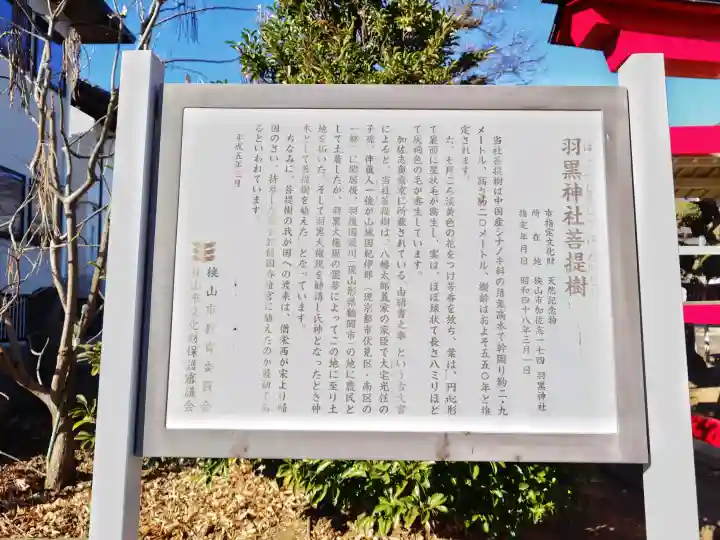 羽黒神社の{uncategorized: "未分類", other: "その他", undefined: "問題あり", building: "その他建物", grave: "お墓", sacred_gate: "鳥居", guardian: "狛犬", statue: "像", buddha: "仏像", history: "歴史", nature: "自然", garden: "庭園", animal: "動物", pagoda: "塔", temizu: "手水舎", mountain_gate: "山門・神門", sanctuary: "本殿・本堂", subordinate: "末社・摂社", art: "芸術", scenery: "景色", jizo: "地蔵", ema: "絵馬", goshuin: "御朱印", omikuji: "おみくじ", items: "授与品その他", amulet: "お守り", goshuincho: "御朱印帳", eats: "食事", festival: "お祭り", votive_dance: "神楽", shichigosan: "七五三参", wedding: "結婚式", experience: "体験その他", initially: "初詣", around: "周辺", anti_infection: "感染症対策"}