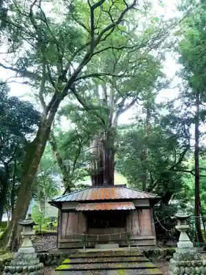武速神社の本殿・本堂