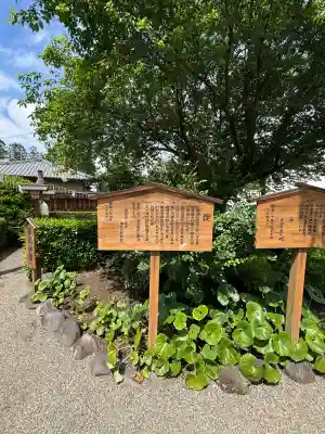 世良田東照宮(群馬県)