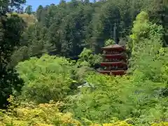 長谷寺の自然