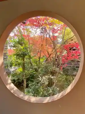 善法律寺の庭園